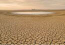 Una campaña digital supera 210 mil firmas en nueve días y exige a las dos multinacionales frenar su extracción de agua en zonas críticas.