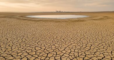 Una campaña digital supera 210 mil firmas en nueve días y exige a las dos multinacionales frenar su extracción de agua en zonas críticas.
