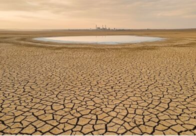 Una campaña digital supera 210 mil firmas en nueve días y exige a las dos multinacionales frenar su extracción de agua en zonas críticas.